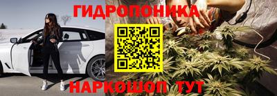 дмт Донской