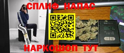 гашик Дубна